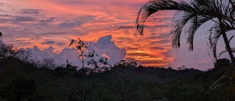 Terrenos do alojamento