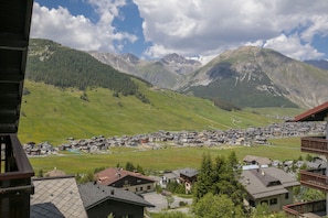 Vista a la montaña