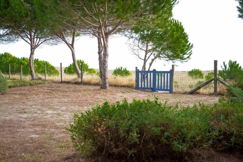 Picture of villa