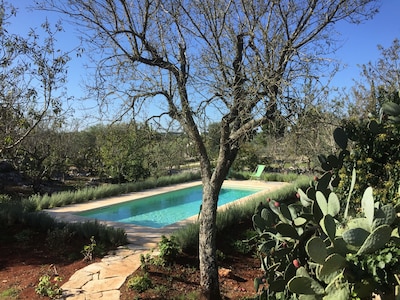 The private pool surrounded by its lavender hedge. 