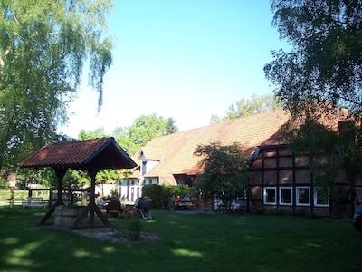 Granja hermoso caballo con grandes madereras-apartamentos entre la lona y la salud