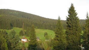 Blick aus dem Fenster der FeWo im Sommer