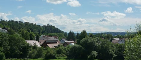 Utsikt från luften