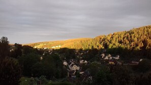 Oklassificerad bild, 3 av 40, knapp
