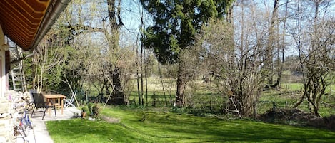 Blick in den Garten