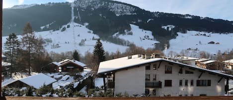 Vue sur les pistes