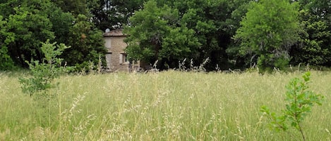 Parco della struttura