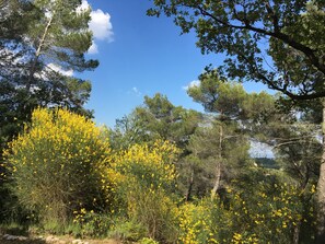 Jardines del alojamiento