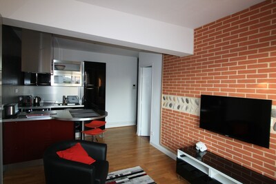 Toulouse Location Studio De Vacances A Partir De 38 Nuit Abritel