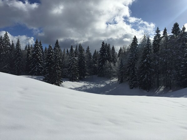 Skidåkning och snöaktiviteter