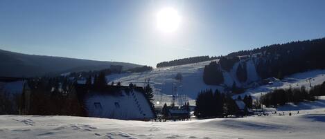 Sneeuw- en skisporten