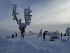 Snow and ski sports