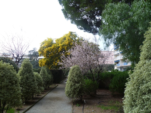 vue du jardin de l'entrée