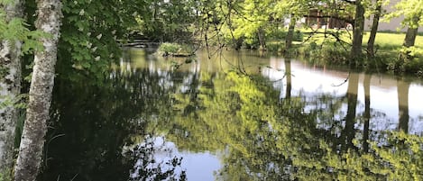 Overnatningsstedets område