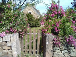 Jardines del alojamiento