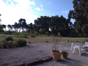 Property grounds