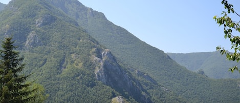 piscine vue montagne