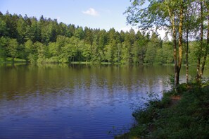 Sjö