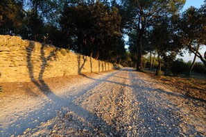 Boendeområde