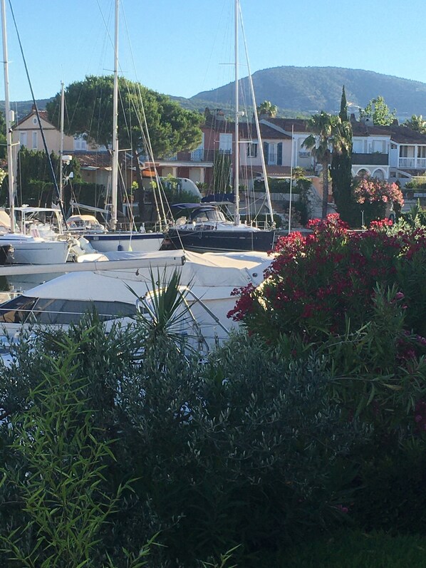 Marina