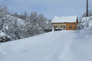 Exteriör