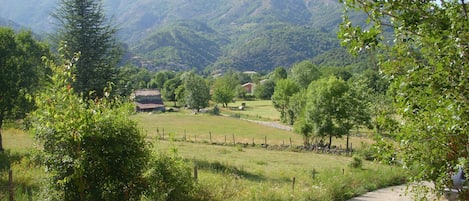 Terrain de l’hébergement 