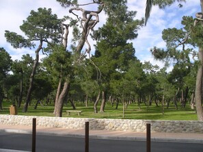 Property grounds