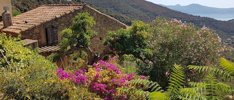 Vue de la maison dans son écrin de verdure