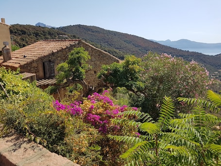 Vue de la maison dans son écrin de verdure