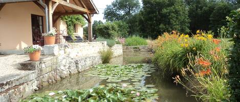 Jardines del alojamiento