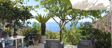 Terrasse et vue depuis la maison