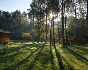 Parco della struttura