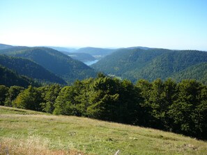 Terrain de l’hébergement 