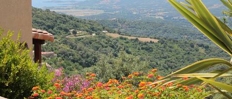 Vista dalla struttura