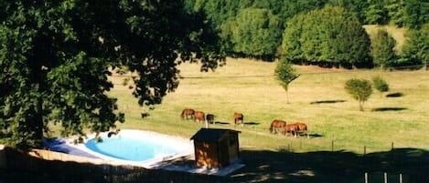 Piscine vue de la chambre saumon