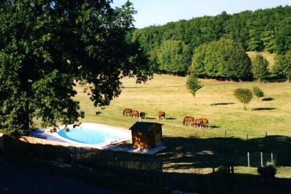 Piscine vue de la chambre saumon