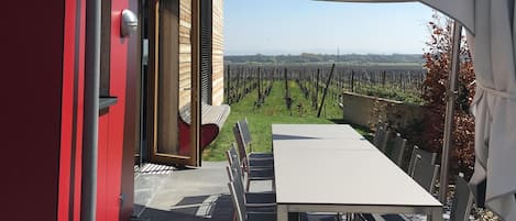 Terrasse vue vers l'Est - Vignes 8 Avril 2017