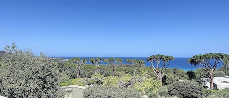 Terrain de l’hébergement 