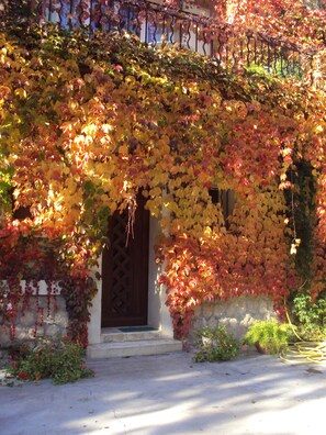 Exterior detail