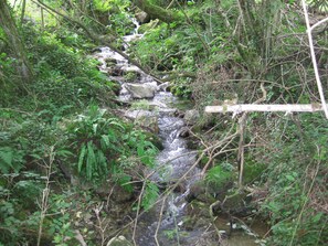 Boendeområde