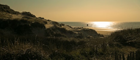 Vue prise des dunes.