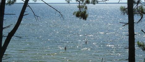 Spiaggia