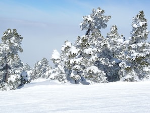 Desportos de neve e esqui