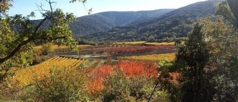 Vue depuis le gîte vers le levant