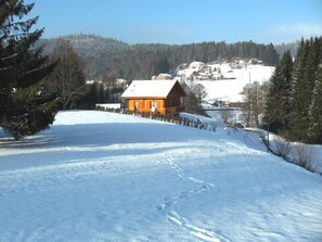 Under the snow in 2011