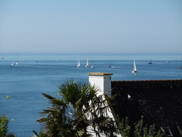 Beach/ocean view
