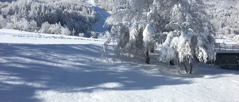 Situation idéale face aux pistes arrivée en ski jusqu'à l'appartement