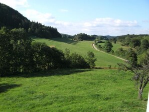 Vue du gîte sur le petit chemin de la combe