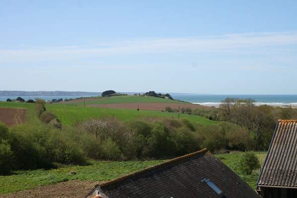 Beach/ocean view