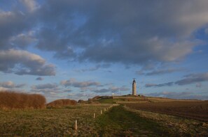 Oklassificerad bild, 5 av 26, knapp